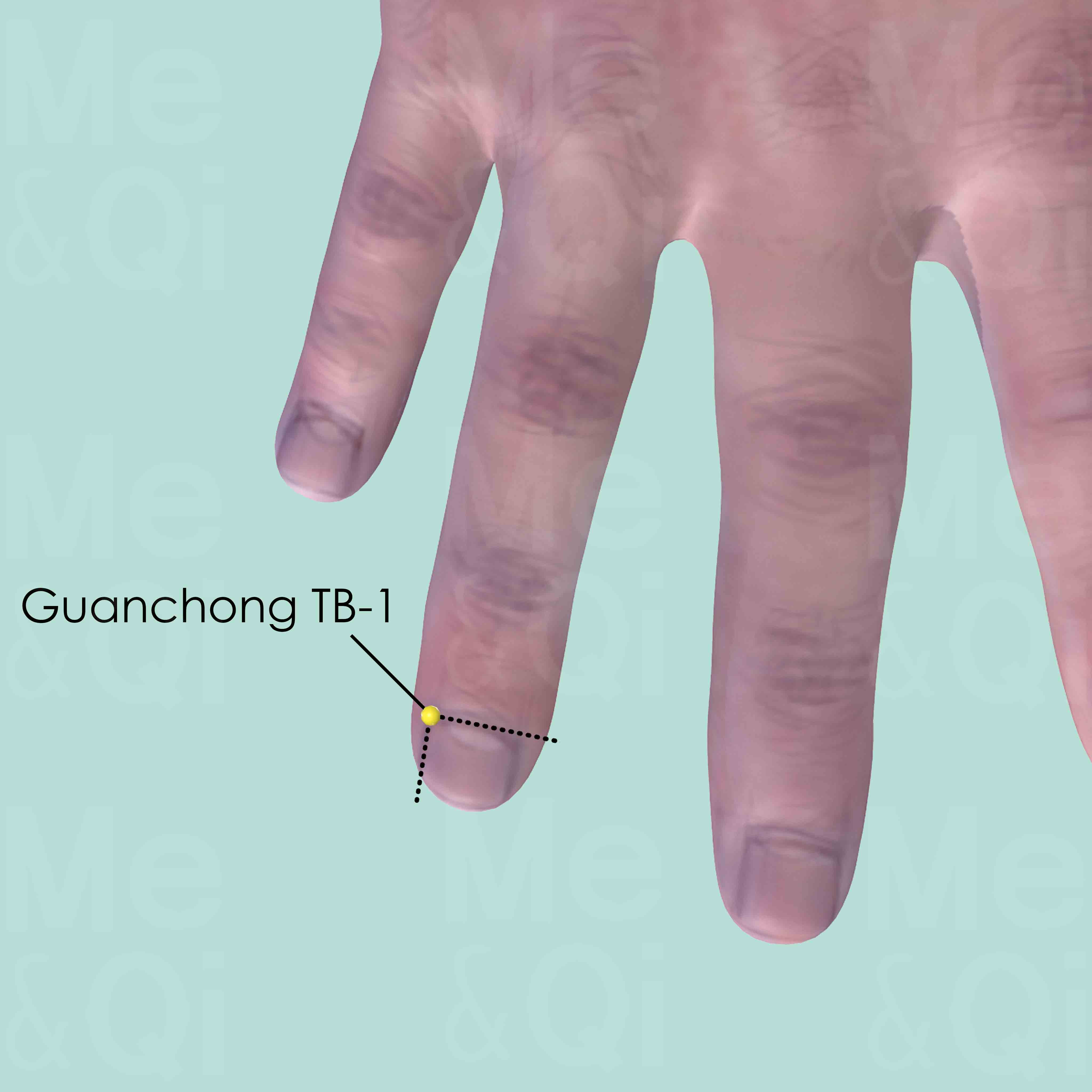 Guanchong TB-1