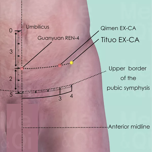 Tituo EX-CA - Skin view - Acupuncture point on Extra Points: Chest and Abdomen (EX-CA)