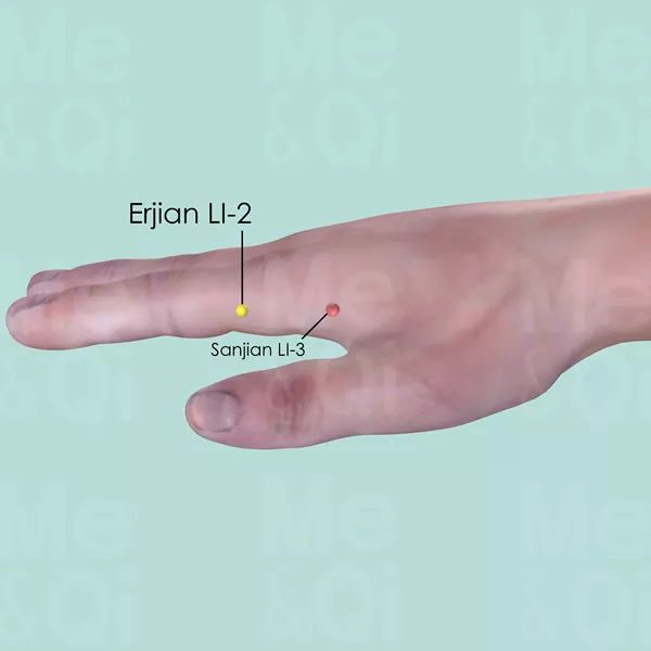 Erjian LI-2 - Skin view - Acupuncture point on Large Intestine Channel
