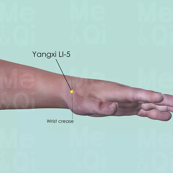 Yangxi LI-5 - Skin view - Acupuncture point on Large Intestine Channel