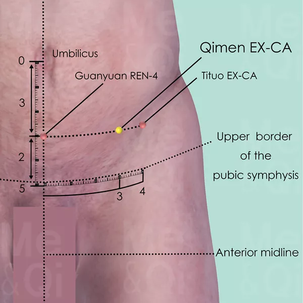Qimen EX-CA - Skin view - Acupuncture point on Extra Points: Chest and Abdomen (EX-CA)