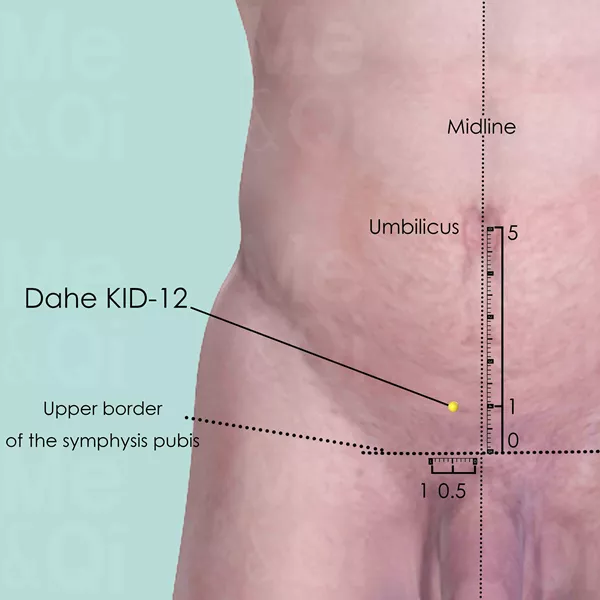 Dahe KID-12 - Skin view - Acupuncture point on Kidney Channel