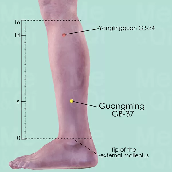 Guangming GB-37 - Skin view - Acupuncture point on Gall Bladder Channel