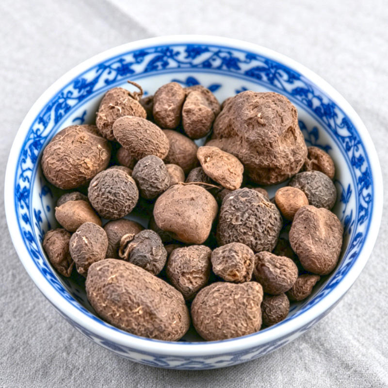 Lei Wan (Omphalia) plant