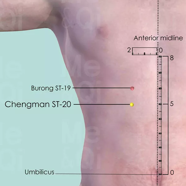 Chengman ST-20 - Skin view - Acupuncture point on Stomach Channel