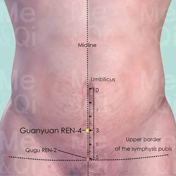 Guanyuan REN-4 location