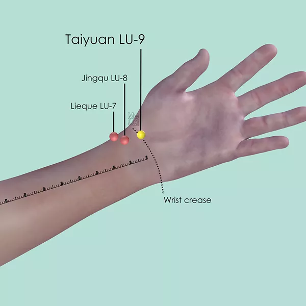 Taiyuan LU-9 - Skin view - Acupuncture point on Lung Channel
