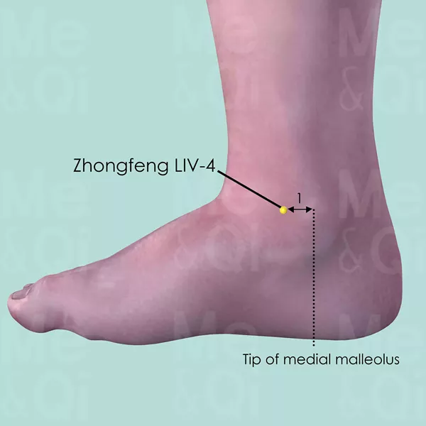 Zhongfeng LIV-4 - Skin view - Acupuncture point on Liver Channel