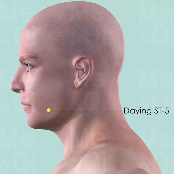 Daying ST-5 - Skin view - Acupuncture point on Stomach Channel