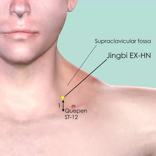 Jingbi EX-HN - Skin view - Acupuncture point on Extra Points: Head and Neck (EX-HN)