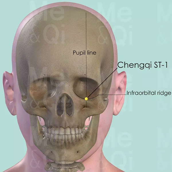 Chengqi ST-1 - Bones view - Acupuncture point on Stomach Channel