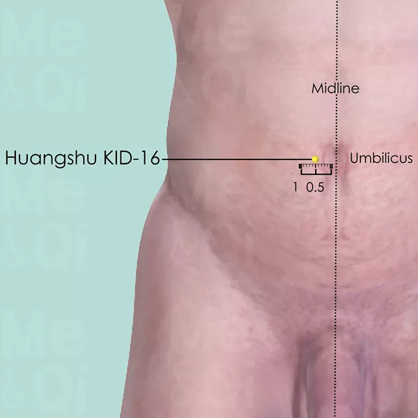 Huangshu KID-16 - Skin view - Acupuncture point on Kidney Channel