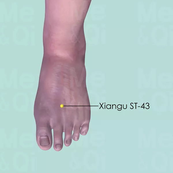 Xiangu ST-43 - Skin view - Acupuncture point on Stomach Channel