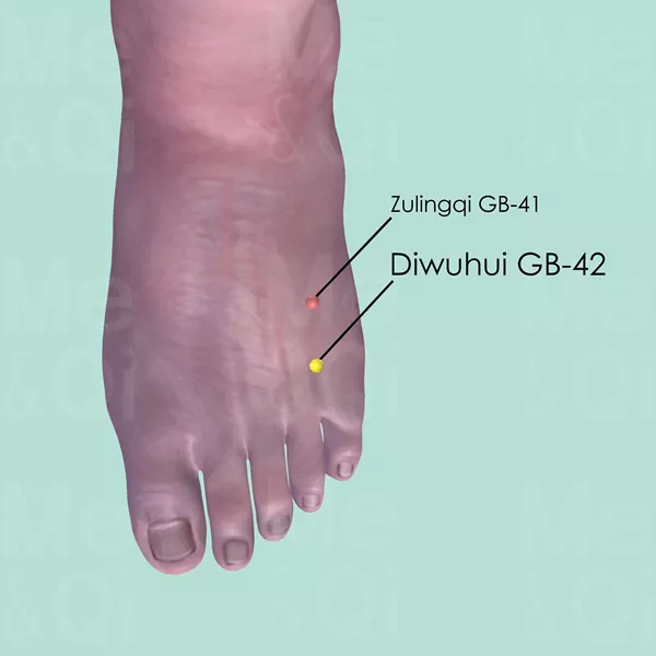 Diwuhui GB-42 - Skin view - Acupuncture point on Gall Bladder Channel