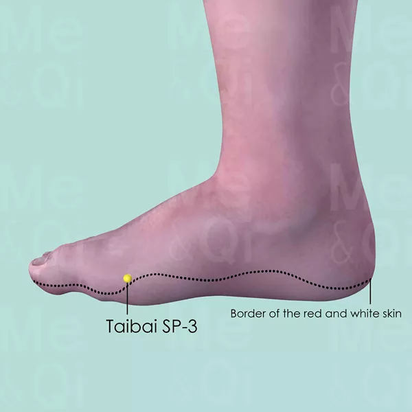 Taibai SP-3 - Skin view - Acupuncture point on Spleen Channel