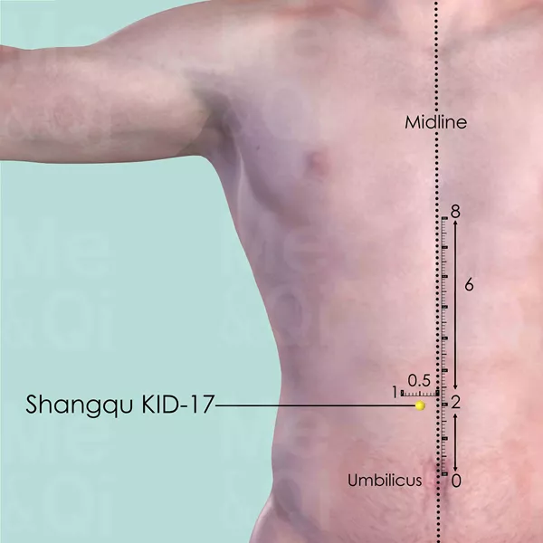 Shangqu KID-17 - Skin view - Acupuncture point on Kidney Channel
