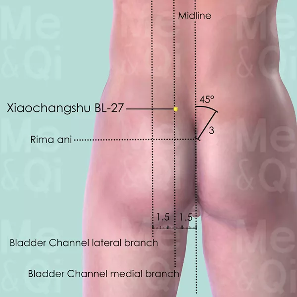 Xiaochangshu BL-27 - Skin view - Acupuncture point on Bladder Channel