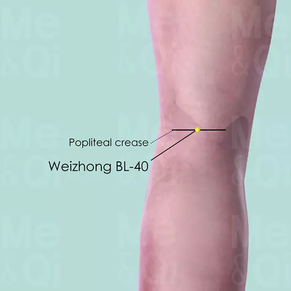 Weizhong BL-40 - Skin view - Acupuncture point on Bladder Channel