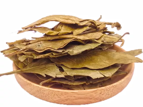 What Tengerine leaf looks like as a TCM ingredient