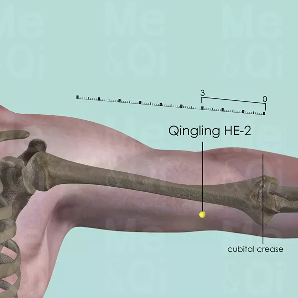 Qingling HE-2 - Bones view - Acupuncture point on Heart Channel