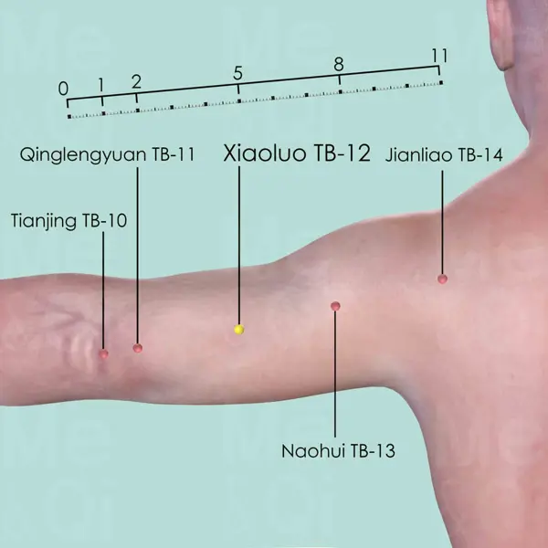 Xiaoluo SJ-12 location