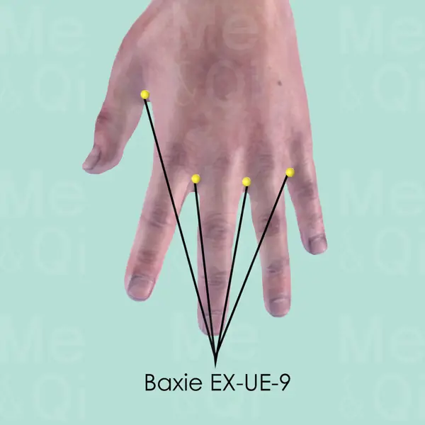 Baxie EX-UE-9 location
