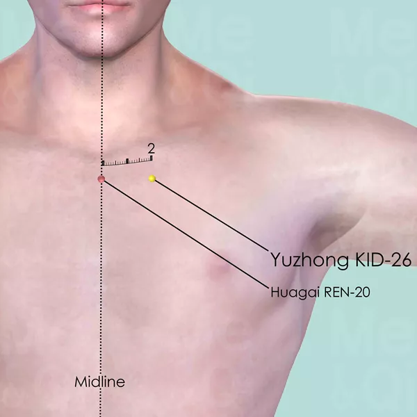 Yuzhong KID-26 - Skin view - Acupuncture point on Kidney Channel