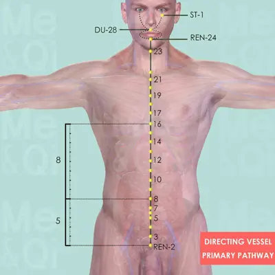 Directing Vessel Primary pathway pathway