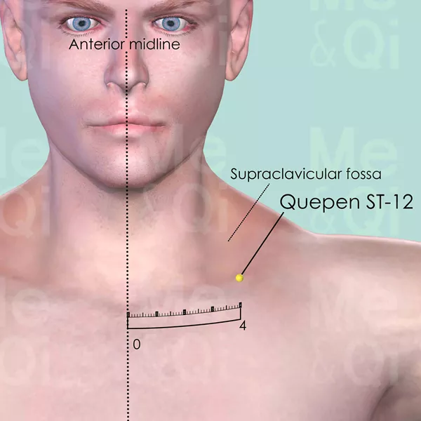Quepen ST-12 - Skin view - Acupuncture point on Stomach Channel