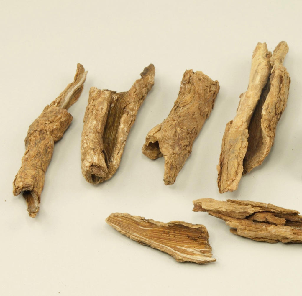 Di Gu Pi (Goji tree root bark) as TCM ingredient