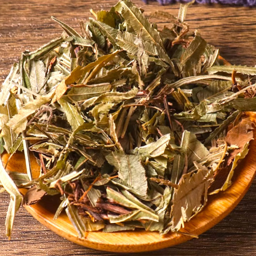 Fèng Wěi Cǎo (Chinese brake fern) as TCM ingredient