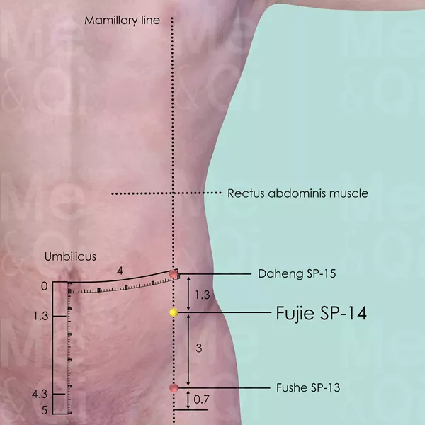 Fujie SP-14 - Skin view - Acupuncture point on Spleen Channel
