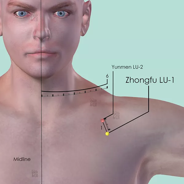 Zhongfu LU-1 - Skin view - Acupuncture point on Lung Channel