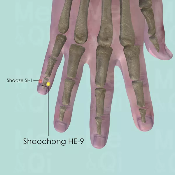 Shaochong HE-9 - Bones view - Acupuncture point on Heart Channel