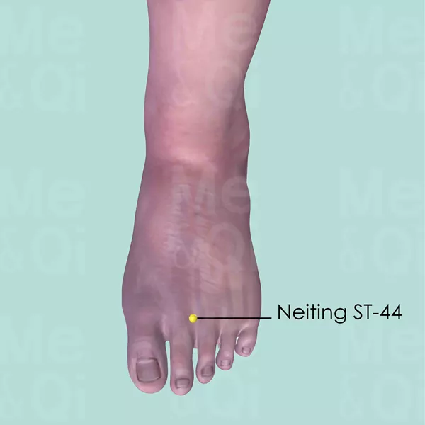 Neiting ST-44 - Skin view - Acupuncture point on Stomach Channel