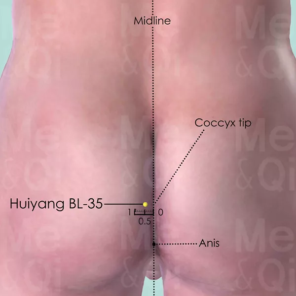 Huiyang BL-35 - Skin view - Acupuncture point on Bladder Channel