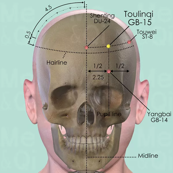 Toulinqi GB-15 - Bones view - Acupuncture point on Gall Bladder Channel