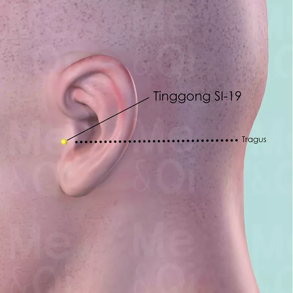 Tinggong SI-19 - Skin view - Acupuncture point on Small Intestine Channel