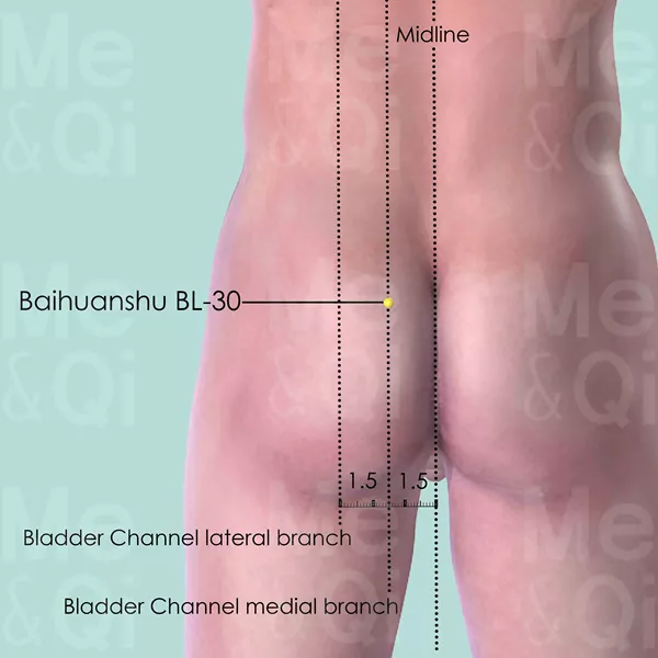 Baihuanshu BL-30 - Skin view - Acupuncture point on Bladder Channel