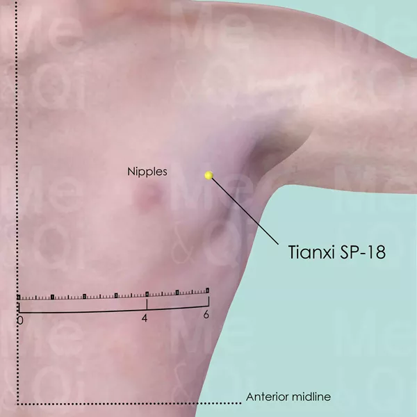 Tianxi SP-18 - Skin view - Acupuncture point on Spleen Channel