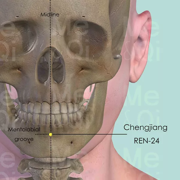 Chengjiang REN-24 - Bones view - Acupuncture point on Directing Vessel