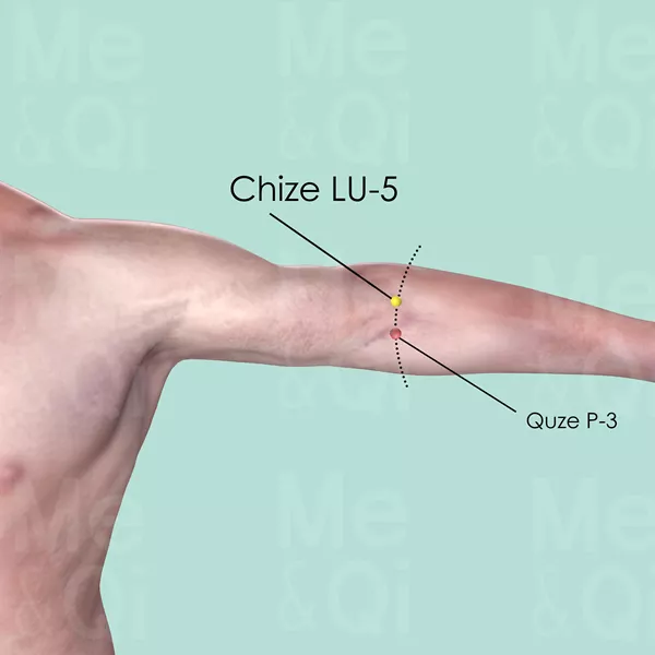 Chize LU-5 - Skin view - Acupuncture point on Lung Channel