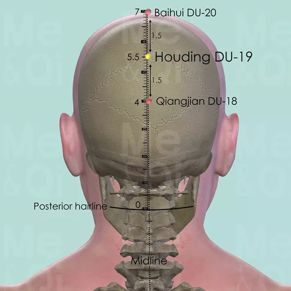 Houding DU-19 - Bones view - Acupuncture point on Governing Vessel