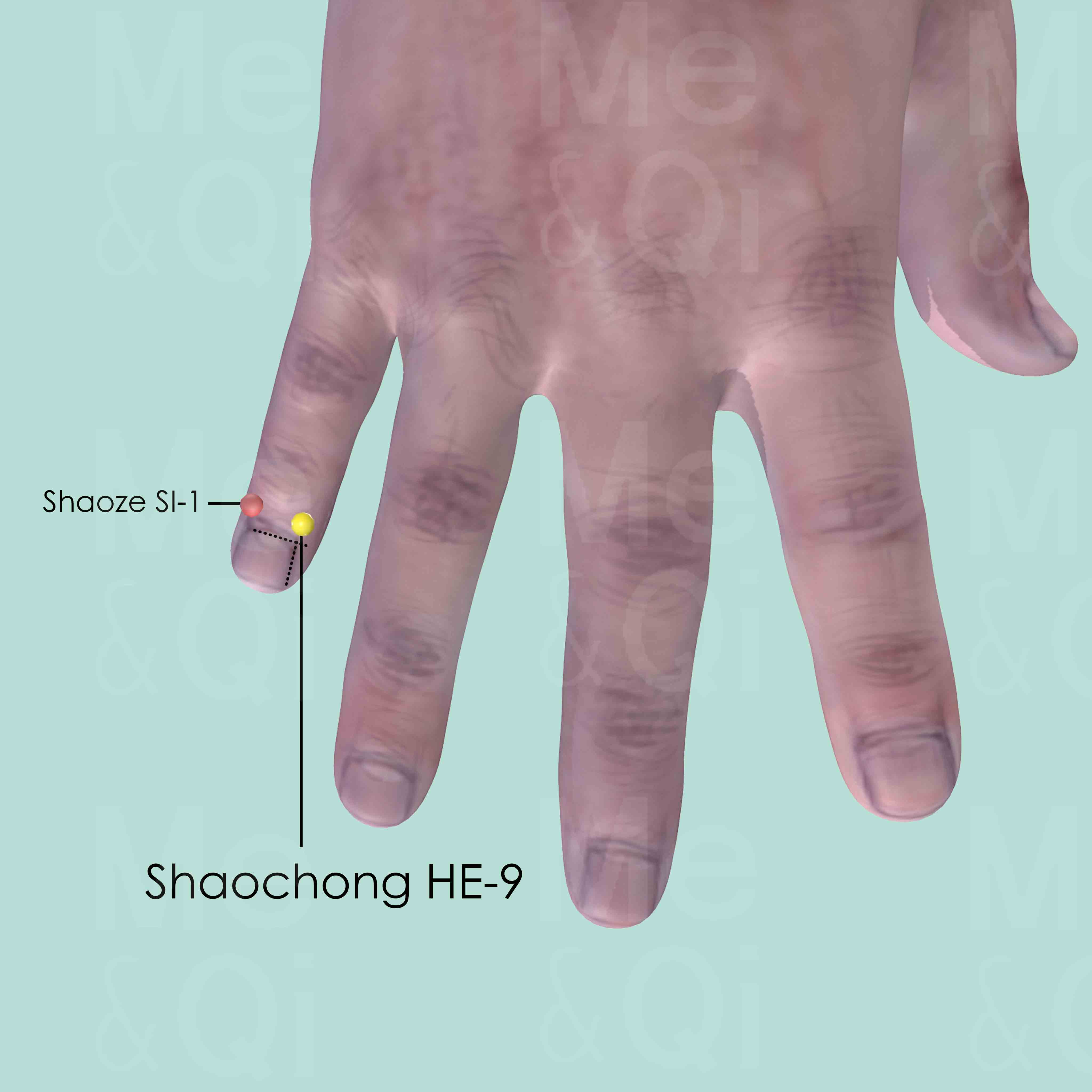 Shaochong HE-9