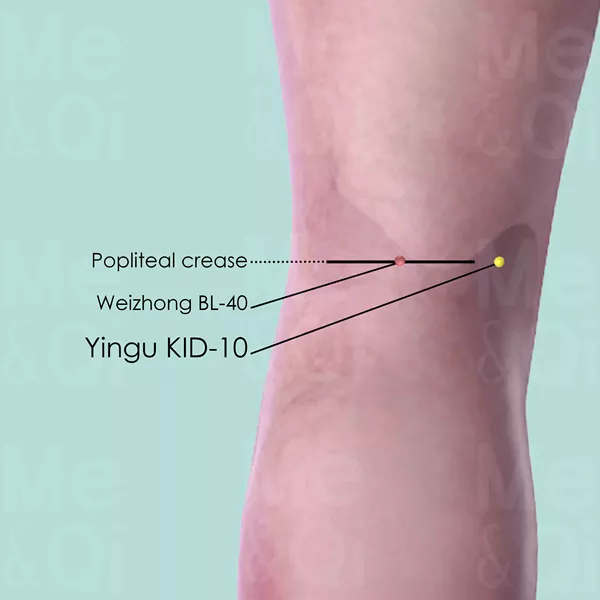 Yingu KID-10 - Skin view - Acupuncture point on Kidney Channel