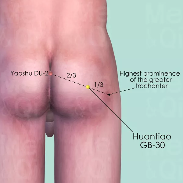 Huantiao GB-30 - Skin view - Acupuncture point on Gall Bladder Channel