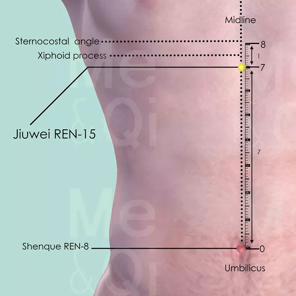 Jiuwei REN-15 - Skin view - Acupuncture point on Directing Vessel